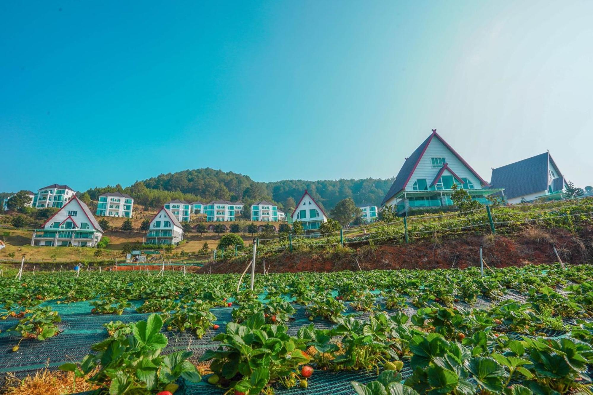 Dalat Wonder Resort Zewnętrze zdjęcie